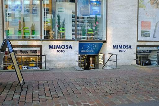 Photo of the Headshots Studio 'Mimosa Foto'